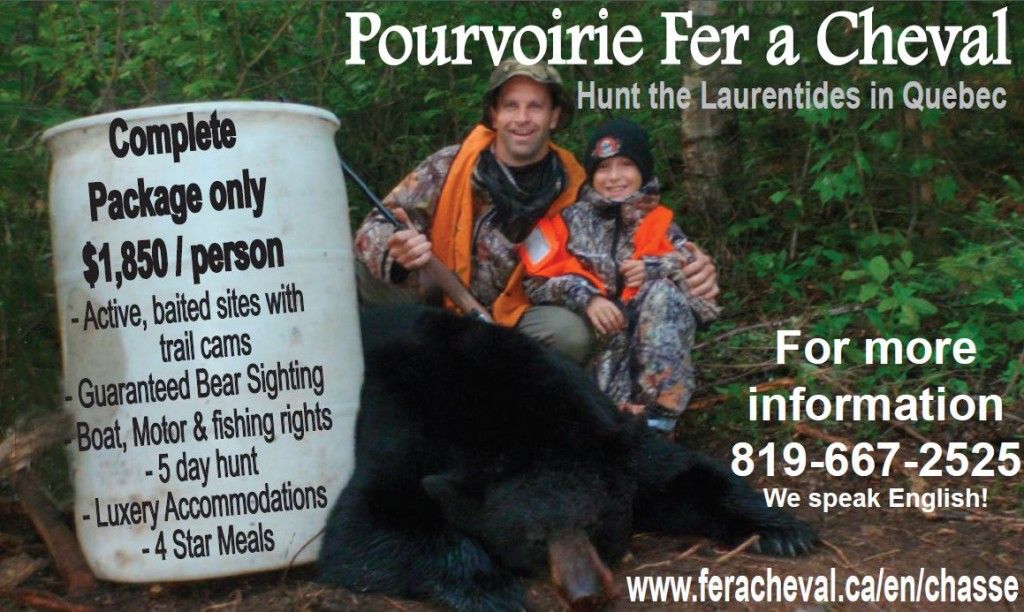 Black Bear Hunting Outfitter in the Quebec's Laurentians (Fer A Cheval) Black Bear Hunting Outfitter in the Quebec's Laurentians (Fer A Cheval)