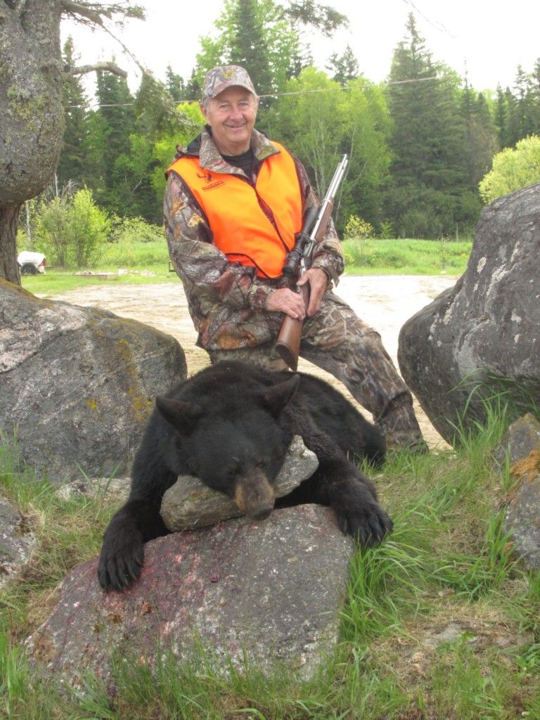 Chasse Ours Noir Pourvoirie Fer A Cheval