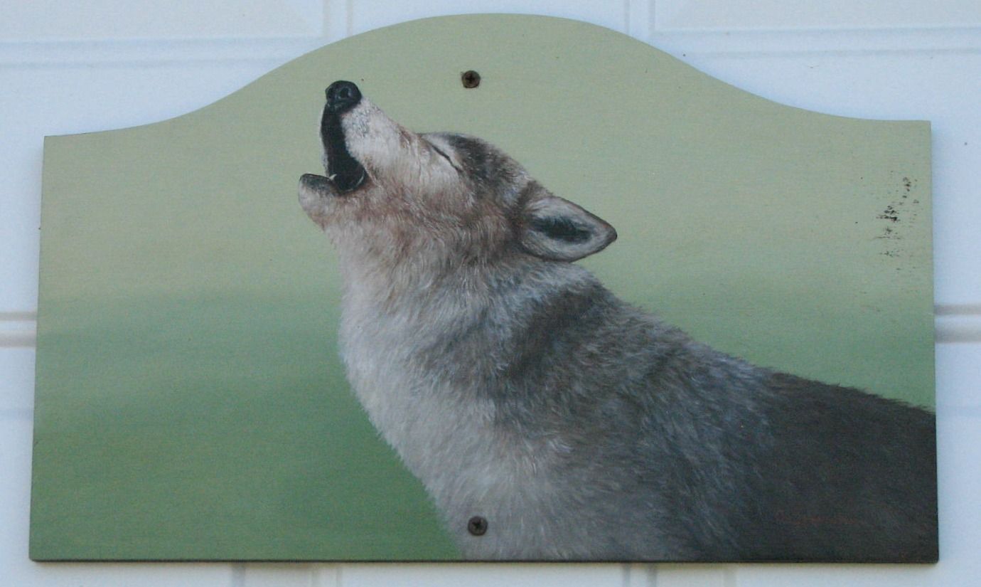 Suite du Loup