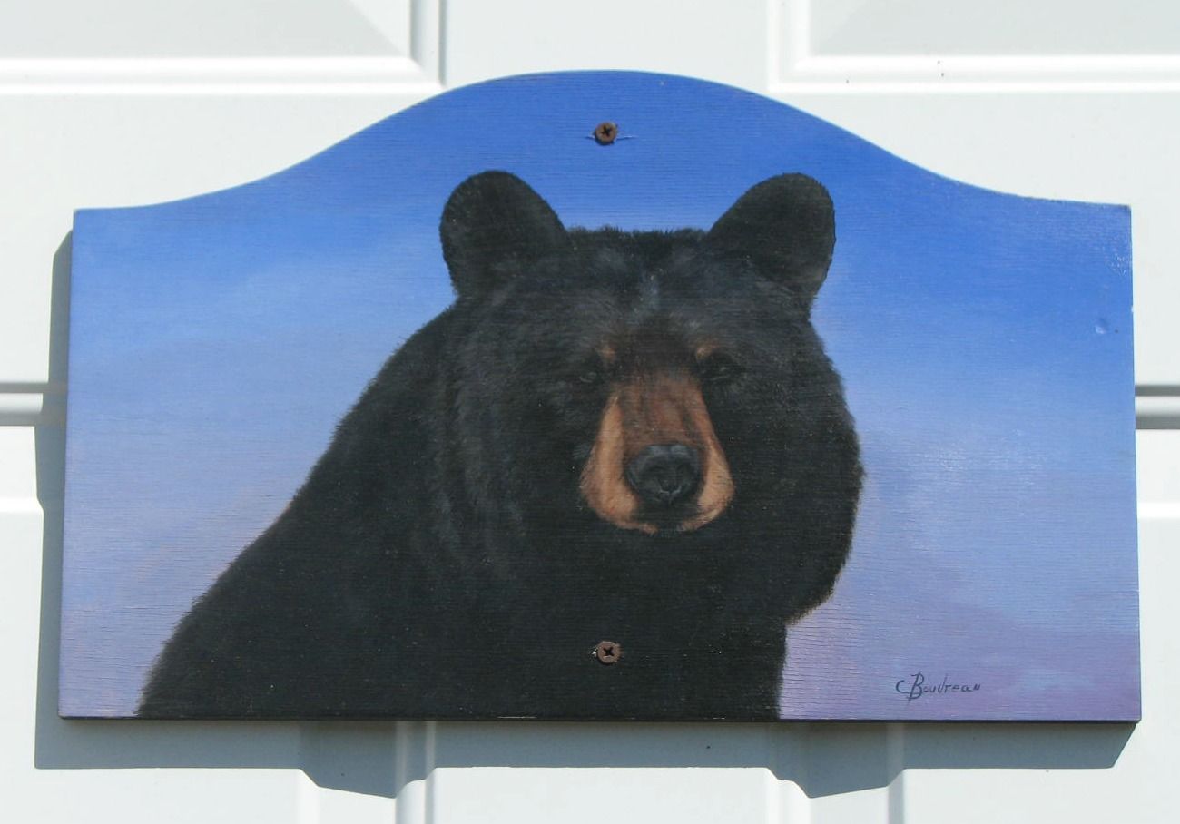 Suite-de-l-Ours