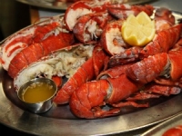 auberge-fer-a-cheval-pourvoirie-hautes-laurentides-22b