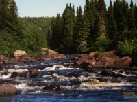 Les rapides de la Rivière Bazin à la pourvoirie Fer A Cheval, Hautes-Laurentides