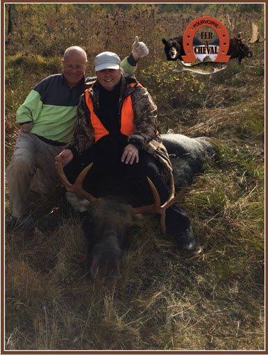 chasse à l'orignal