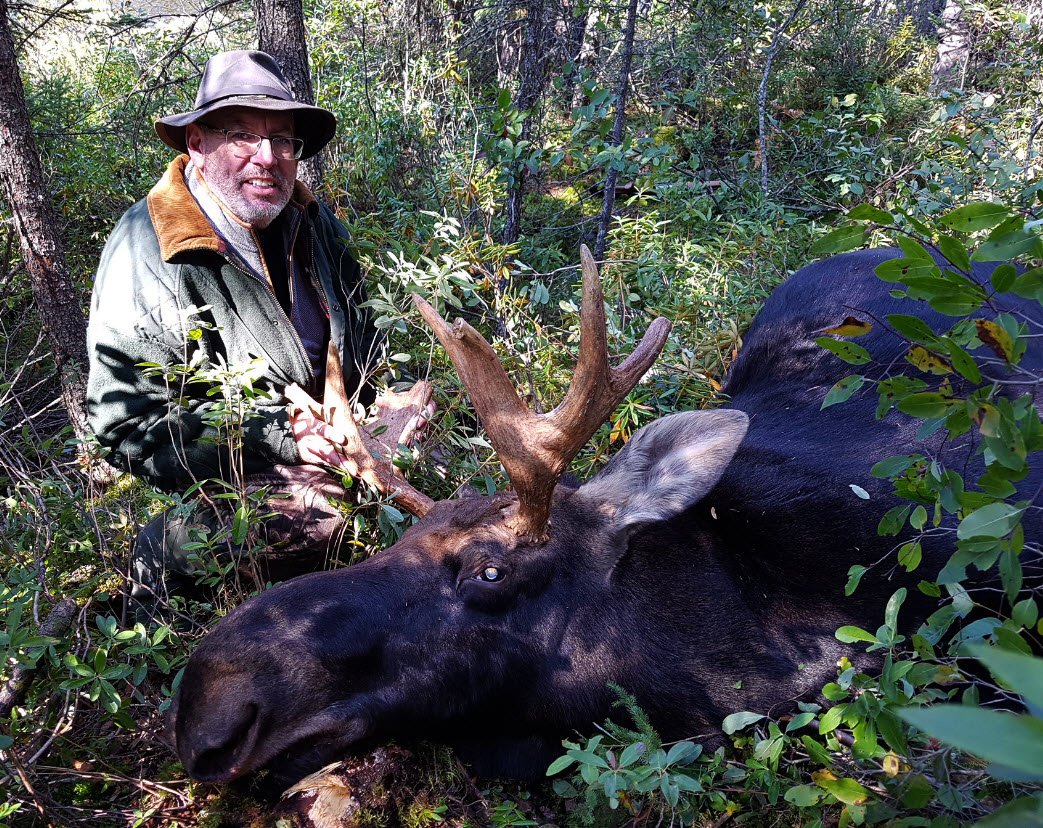 Chasse à l'orignal à la pourvoirie du Fer à Cheval