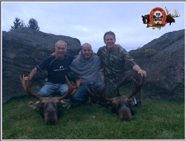 chasse à l'orignal