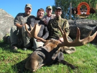chasse à l'orignal
