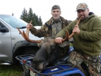 chasse à l'orignal