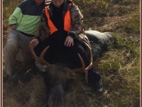 chasse à l'orignal