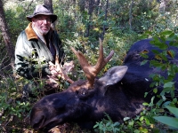 Chasse à l'orignal à la pourvoirie du Fer à Cheval
