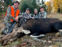 Chasse à l'orignal à la pourvoirie du Fer à Cheval