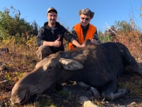 Chasse à l'orignal à la pourvoirie du Fer à Cheval