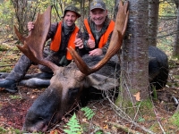 Chasse à l'orignal à la pourvoirie du Fer à Cheval