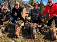 Chasse à l'orignal à la pourvoirie du Fer à Cheval