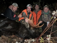 Chasse à l'orignal à la pourvoirie du Fer à Cheval