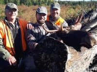 Chasse à l'orignal à la pourvoirie du Fer à Cheval