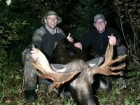 Chasse à l'orignal à la pourvoirie du Fer à Cheval