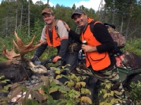 Chasse à l'orignal à la pourvoirie du Fer à Cheval