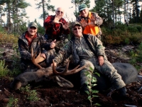 chasse à l'orignal