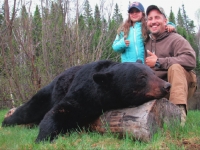 Chasse a l'ours noir en pourvoirie au Fer a Cheval, Hautes-Laurentides