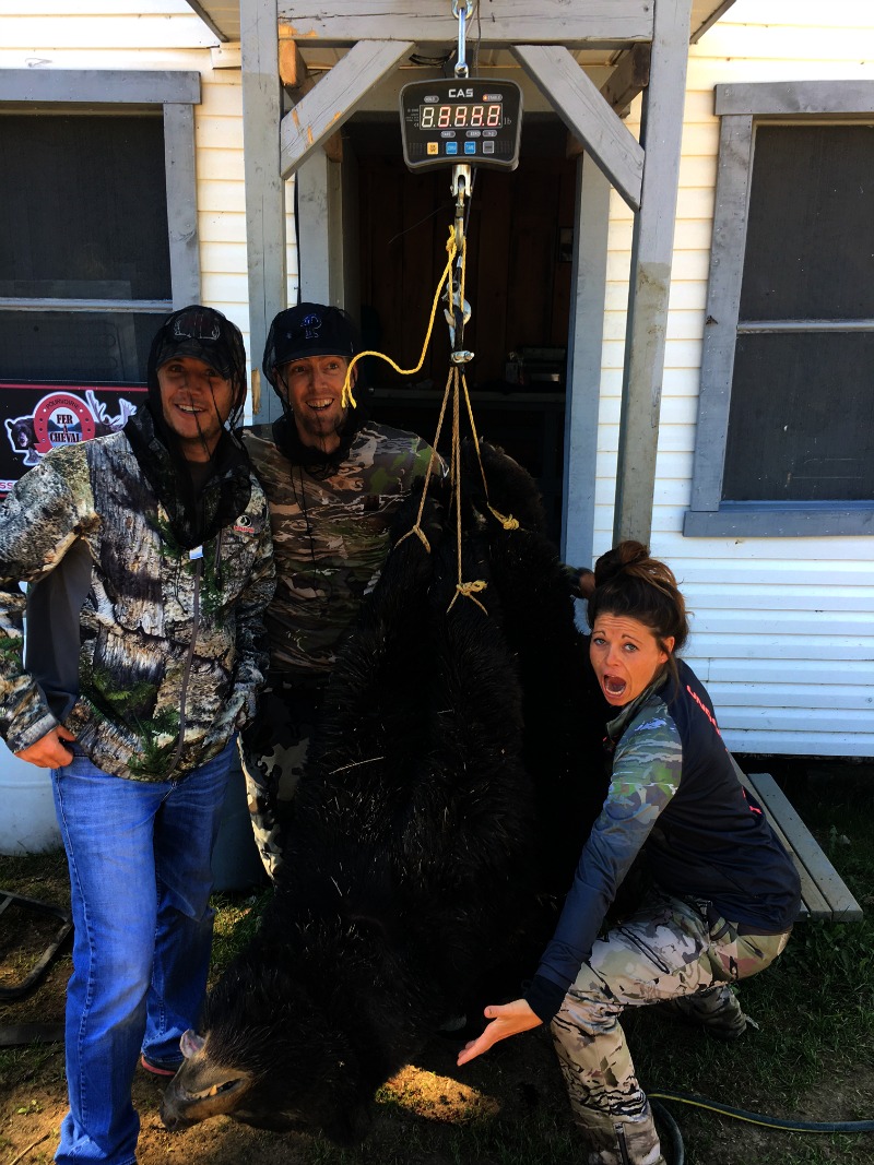 Chasse a l'ours noir en pourvoirie au Fer a Cheval, Hautes-Laurentides