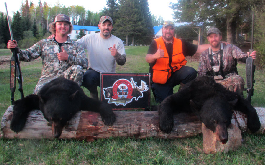 Chasse a l'ours noir en pourvoirie au Fer a Cheval, Hautes-Laurentides