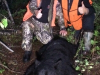 Chasse à l'ours à la pourvoirie du Fer à Cheval, Laurentides