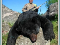 Chasse a l'ours noir en pourvoirie au Fer a Cheval, Hautes-Laurentides