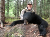 Chasse à l'ours à la pourvoirie du Fer à Cheval, Laurentides