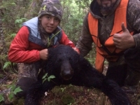 Chasse à l'ours à la pourvoirie du Fer à Cheval, Laurentides,Québec