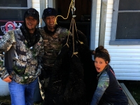Chasse a l'ours noir en pourvoirie au Fer a Cheval, Hautes-Laurentides