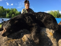 Chasse a l'ours noir en pourvoirie au Fer a Cheval, Hautes-Laurentides