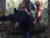 Chasse a l'ours noir en pourvoirie au Fer a Cheval, Hautes-Laurentides