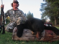 Chasse a l'ours noir en pourvoirie au Fer a Cheval, Hautes-Laurentides