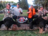 Chasse a l'ours noir en pourvoirie au Fer a Cheval, Hautes-Laurentides