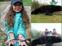 Chasse a l'ours noir en pourvoirie au Fer a Cheval, Hautes-Laurentides