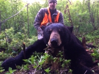Chasse à l'ours à la pourvoirie du Fer à Cheval, Laurentides,Québec