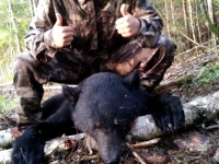 Chasse à l'ours à la pourvoirie du Fer à Cheval, Laurentides,Québec