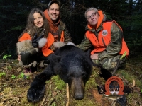 chasse ours fer a cheval