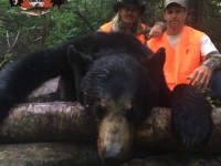 colorado buck black bear hunting in the Laurentians in Quebec, Canada