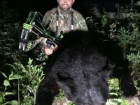 chasse ours noir