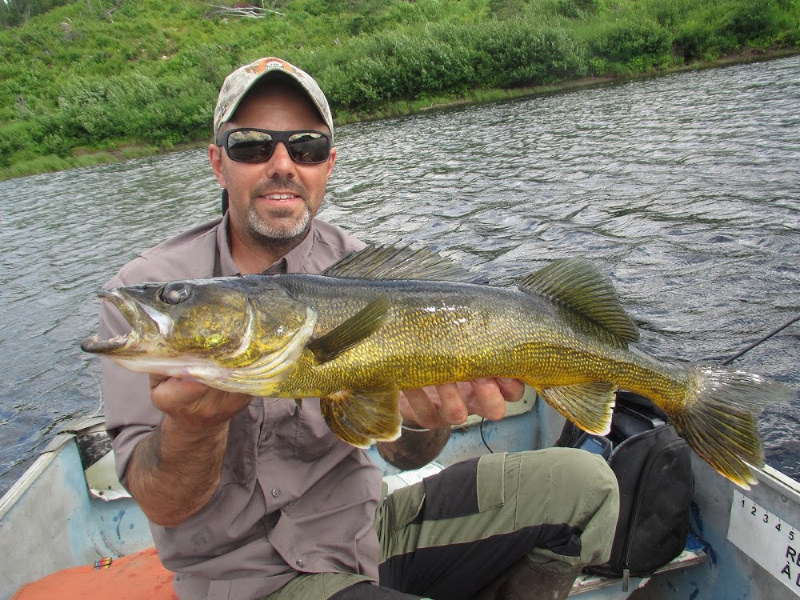 Pêche au doré au Fer à Cheval