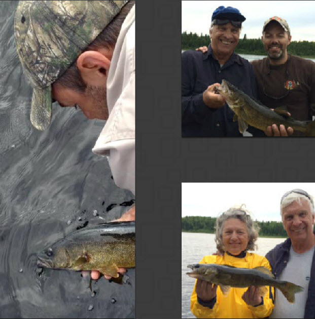 Pêche au doré à la pourvoirie du Fer à Cheval