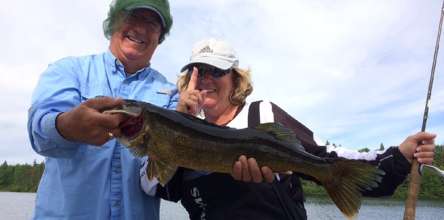 Doré trophée en séjour de pêche au Fer à Cheval
