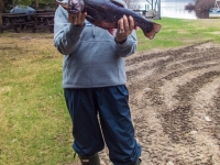Pêche à la truite au fer à Cheval