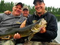 Pêche au doré à la pourvoirie du fer à Cheval