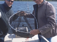 pêche au fer a cheval