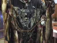 pêche sur lac doré brochet