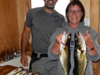 pêche doré et brochet