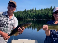 Pêche au doré au Fer à Cheval
