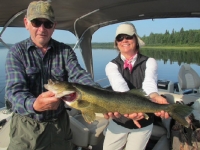 Pêche au doré au Fer à Cheval